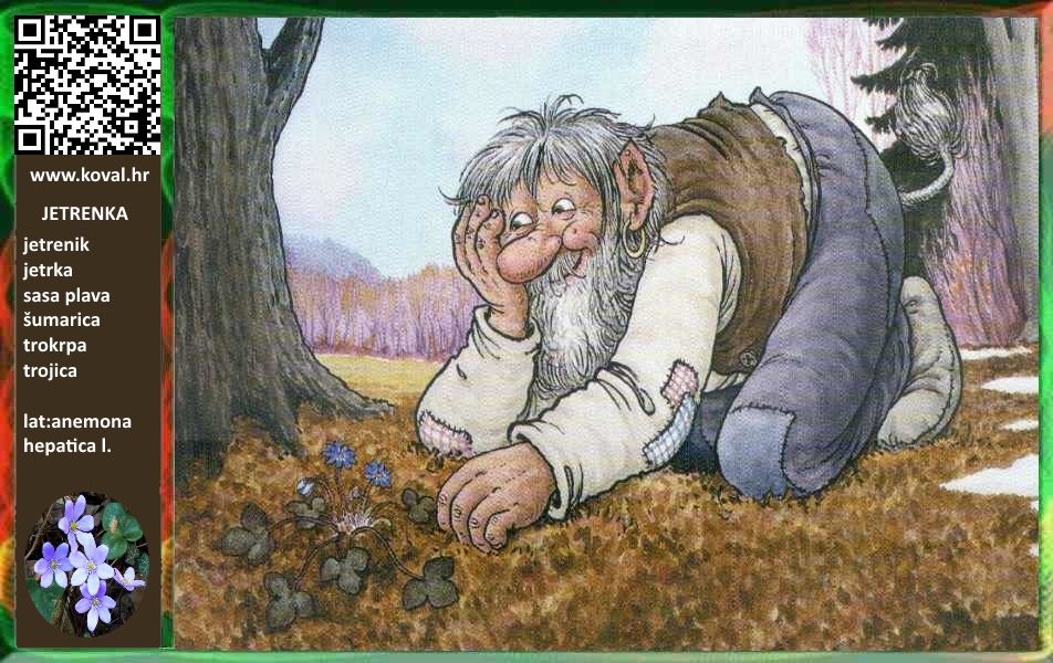 ljekovito bilje